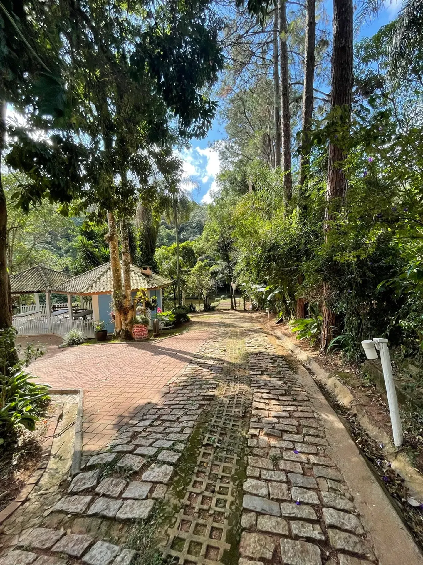Foto 7 de Chácara com 3 quartos